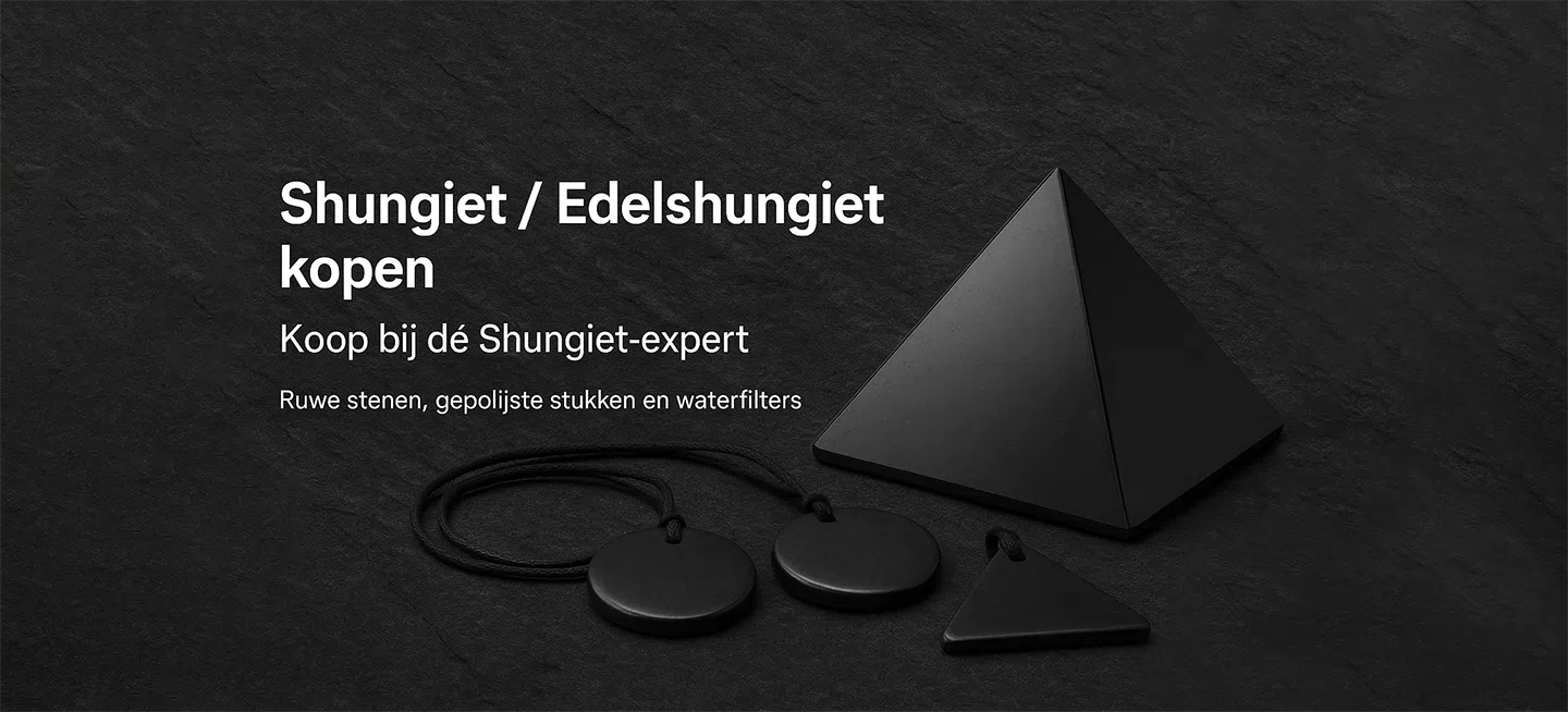 shungiet nederland titel